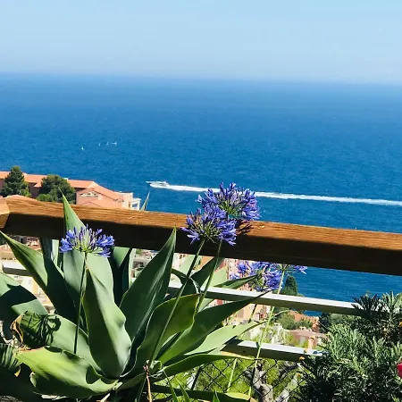 Costa Plana Collection - Cap D'ail - Monaco *